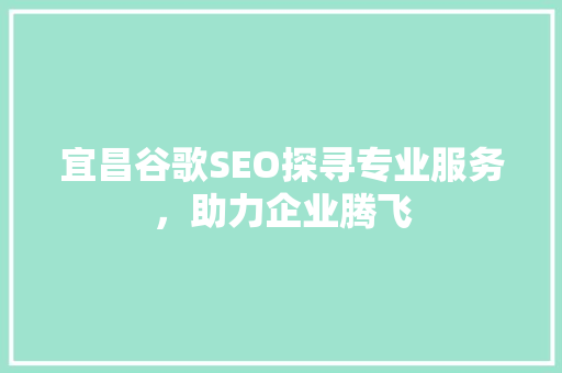 宜昌谷歌SEO探寻专业服务，助力企业腾飞