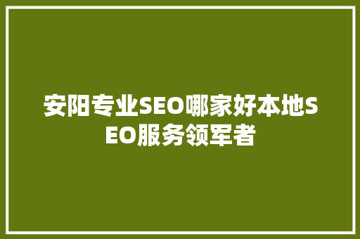 安阳专业SEO哪家好本地SEO服务领军者