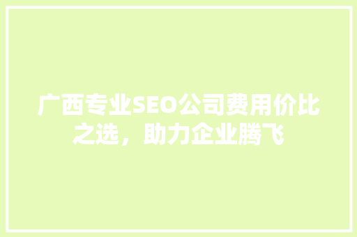广西专业SEO公司费用价比之选，助力企业腾飞 百度SEO