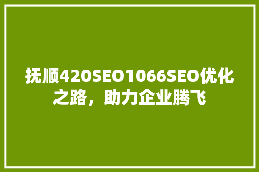 抚顺420SEO1066SEO优化之路，助力企业腾飞