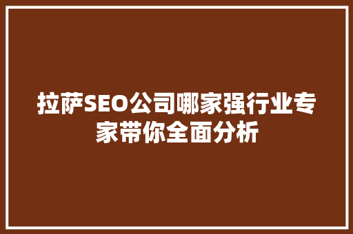 拉萨SEO公司哪家强行业专家带你全面分析 百度SEO