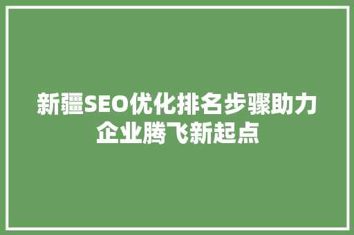 新疆SEO优化排名步骤助力企业腾飞新起点 网站建设公司