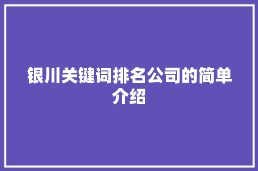 银川关键词排名公司的简单介绍