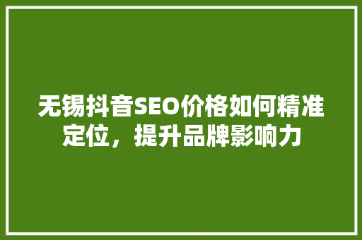 无锡抖音SEO价格如何精准定位，提升品牌影响力