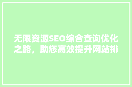 无限资源SEO综合查询优化之路，助您高效提升网站排名
