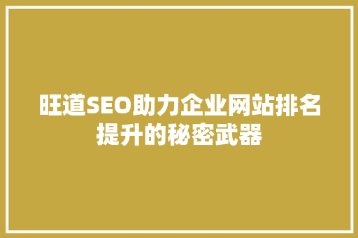 旺道SEO助力企业网站排名提升的秘密武器