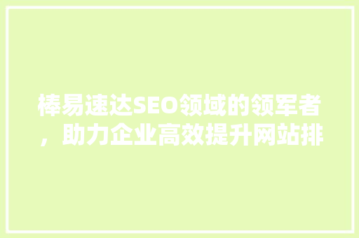 棒易速达SEO领域的领军者，助力企业高效提升网站排名