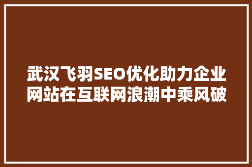 武汉飞羽SEO优化助力企业网站在互联网浪潮中乘风破浪