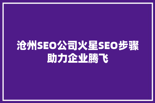 沧州SEO公司火星SEO步骤助力企业腾飞 网站建设公司