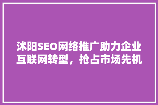 沭阳SEO网络推广助力企业互联网转型，抢占市场先机