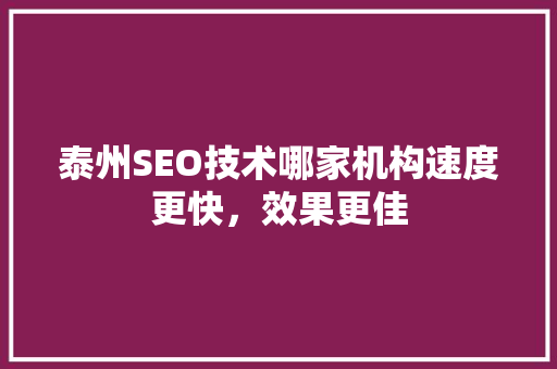 泰州SEO技术哪家机构速度更快，效果更佳