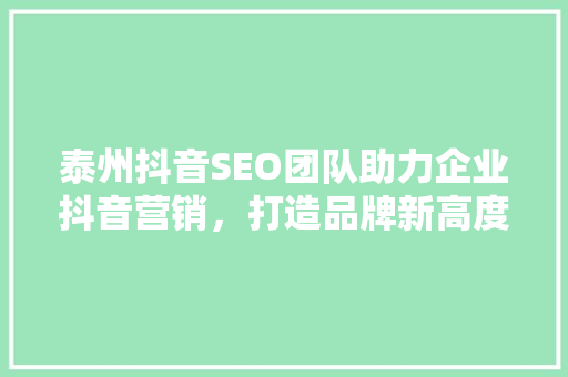 泰州抖音SEO团队助力企业抖音营销，打造品牌新高度