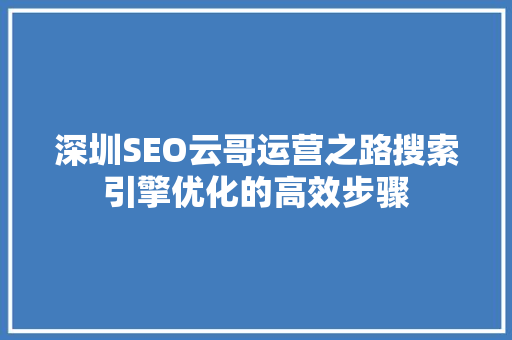 深圳SEO云哥运营之路搜索引擎优化的高效步骤