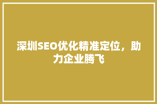 深圳SEO优化精准定位，助力企业腾飞