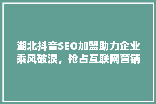 湖北抖音SEO加盟助力企业乘风破浪，抢占互联网营销高地 百度SEO