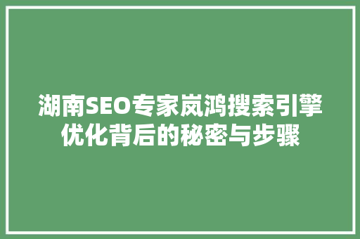 湖南SEO专家岚鸿搜索引擎优化背后的秘密与步骤 必应SEO