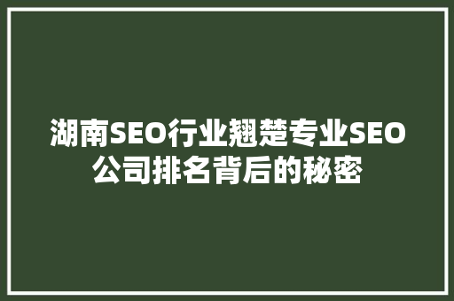 湖南SEO行业翘楚专业SEO公司排名背后的秘密 百度SEO