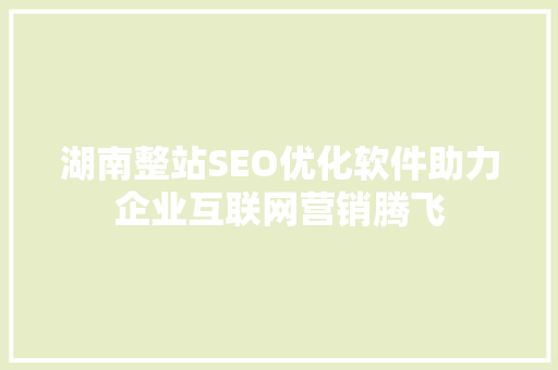 湖南整站SEO优化软件助力企业互联网营销腾飞