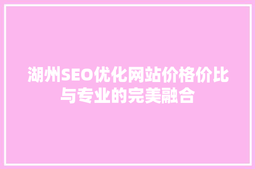 湖州SEO优化网站价格价比与专业的完美融合 网站建设公司