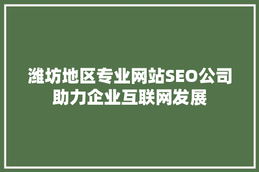 潍坊地区专业网站SEO公司助力企业互联网发展 百度SEO