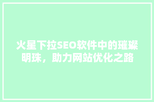 火星下拉SEO软件中的璀璨明珠，助力网站优化之路