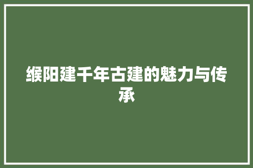 缑阳建千年古建的魅力与传承 百度SEO