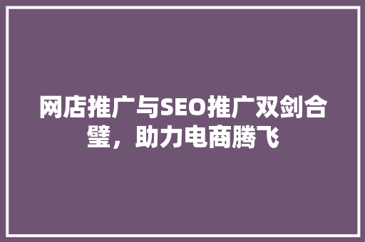 网店推广与SEO推广双剑合璧，助力电商腾飞