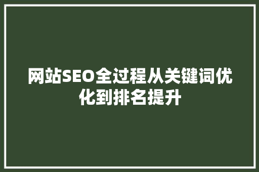 网站SEO全过程从关键词优化到排名提升
