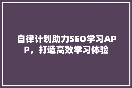 自律计划助力SEO学习APP，打造高效学习体验 网站建设公司