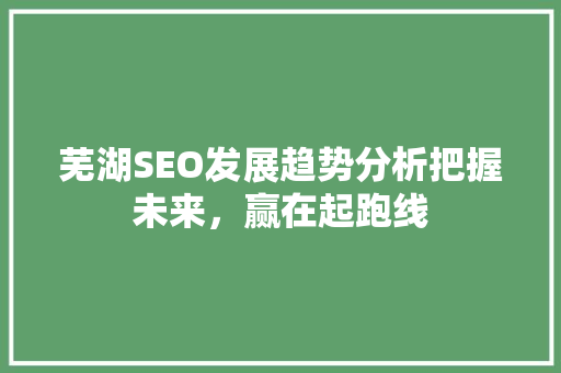 芜湖SEO发展趋势分析把握未来，赢在起跑线 必应SEO