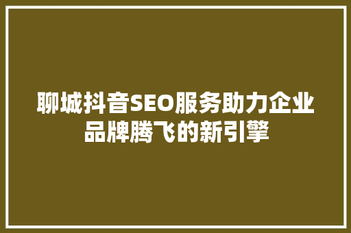聊城抖音SEO服务助力企业品牌腾飞的新引擎 网站建设公司