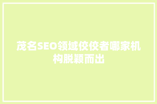 茂名SEO领域佼佼者哪家机构脱颖而出 百度SEO