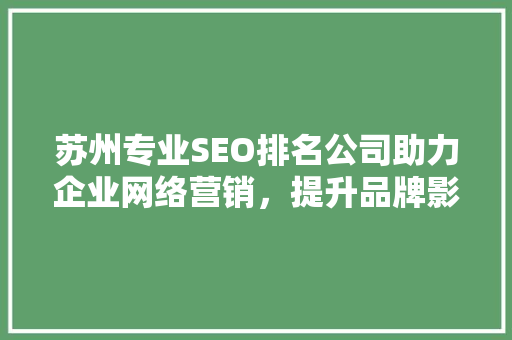 苏州专业SEO排名公司助力企业网络营销，提升品牌影响力 网站建设公司