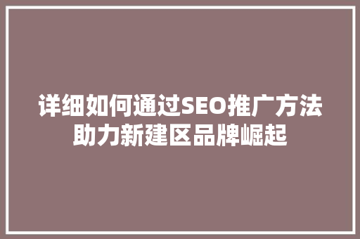 详细如何通过SEO推广方法助力新建区品牌崛起 网站建设公司