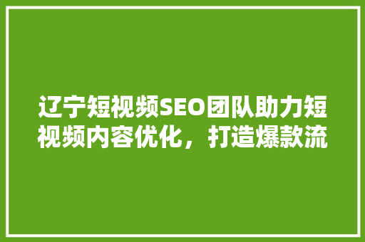辽宁短视频SEO团队助力短视频内容优化，打造爆款流量池 搜狗SEO