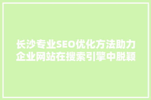 长沙专业SEO优化方法助力企业网站在搜索引擎中脱颖而出 SEO关键词