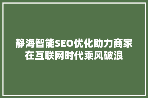 静海智能SEO优化助力商家在互联网时代乘风破浪 百度SEO