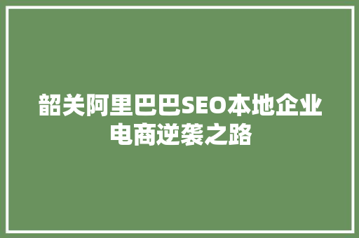 韶关阿里巴巴SEO本地企业电商逆袭之路 搜狗SEO