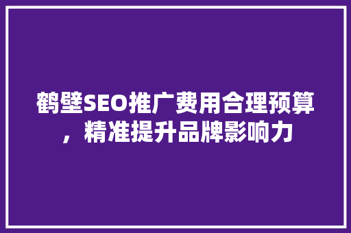 鹤壁SEO推广费用合理预算，精准提升品牌影响力 网站建设公司