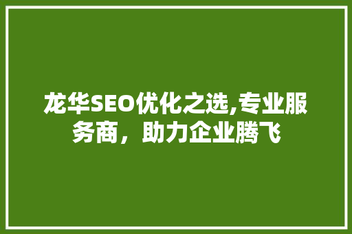 龙华SEO优化之选,专业服务商，助力企业腾飞