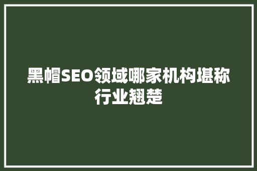 黑帽SEO领域哪家机构堪称行业翘楚 神马SEO