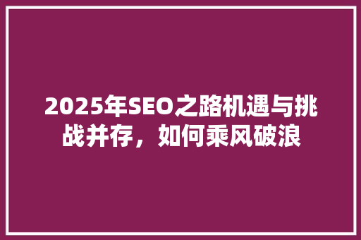 2025年SEO之路机遇与挑战并存，如何乘风破浪 百度SEO