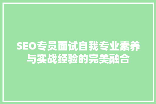 SEO专员面试自我专业素养与实战经验的完美融合 SEO关键词
