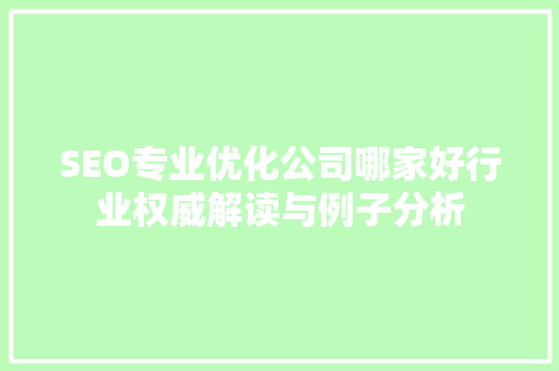 SEO专业优化公司哪家好行业权威解读与例子分析
