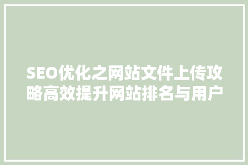 SEO优化之网站文件上传攻略高效提升网站排名与用户体验