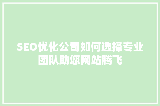 SEO优化公司如何选择专业团队助您网站腾飞 搜狗SEO