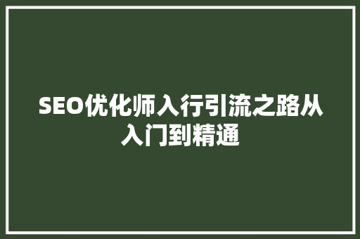 SEO优化师入行引流之路从入门到精通 神马SEO