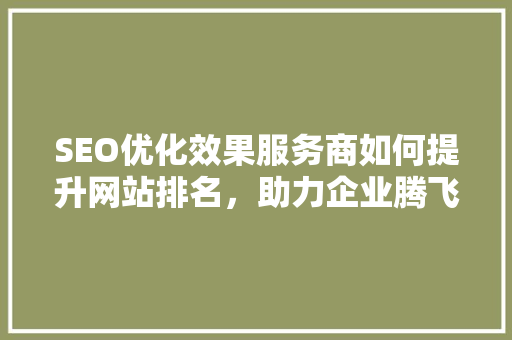 SEO优化效果服务商如何提升网站排名，助力企业腾飞 网站建设公司