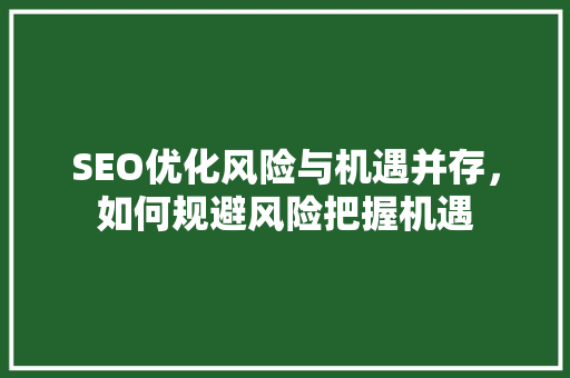 SEO优化风险与机遇并存，如何规避风险把握机遇 网站建设公司