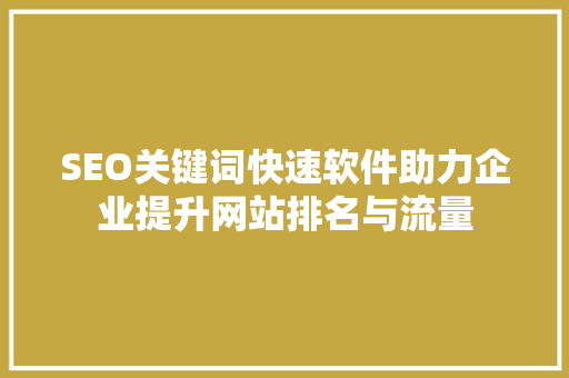 SEO关键词快速软件助力企业提升网站排名与流量
